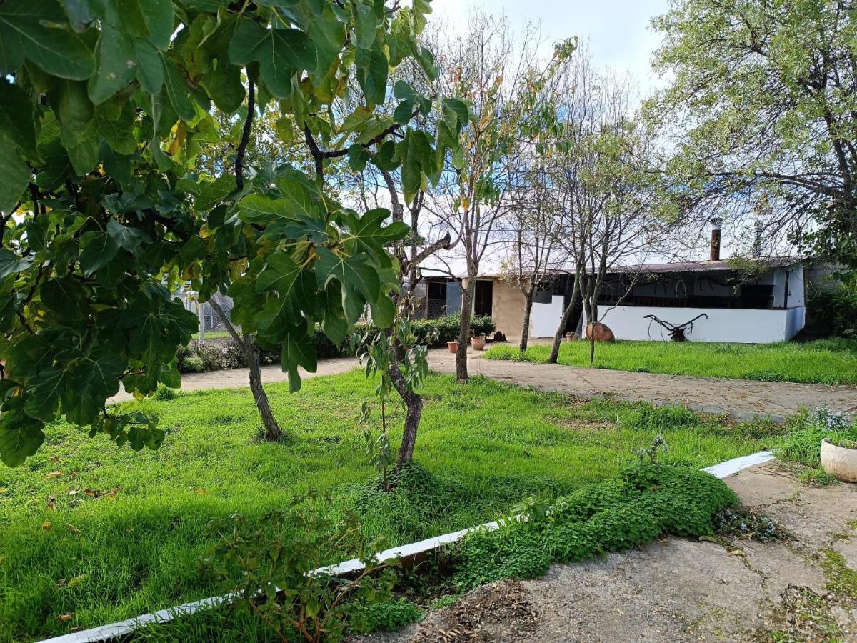 Casitas De Higuera Higuera De La Sierra (Huelva)